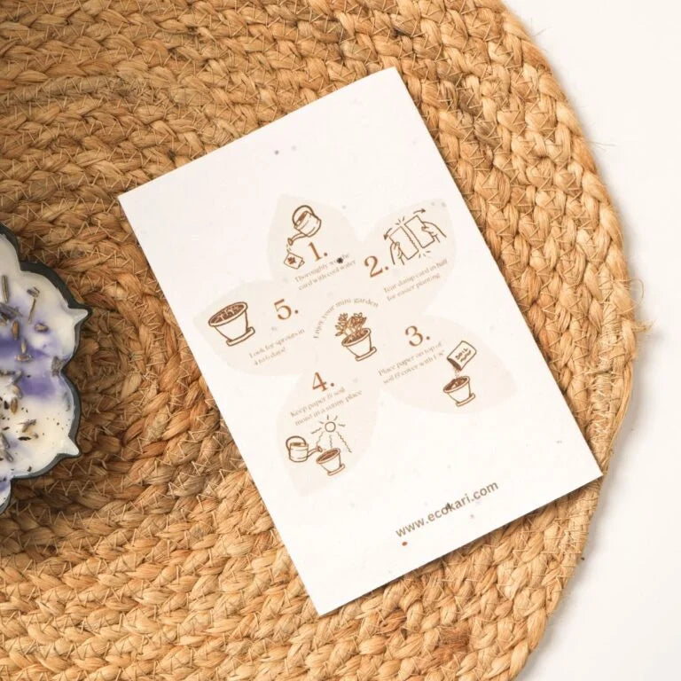 Green Living Delights Housewarming Hamper